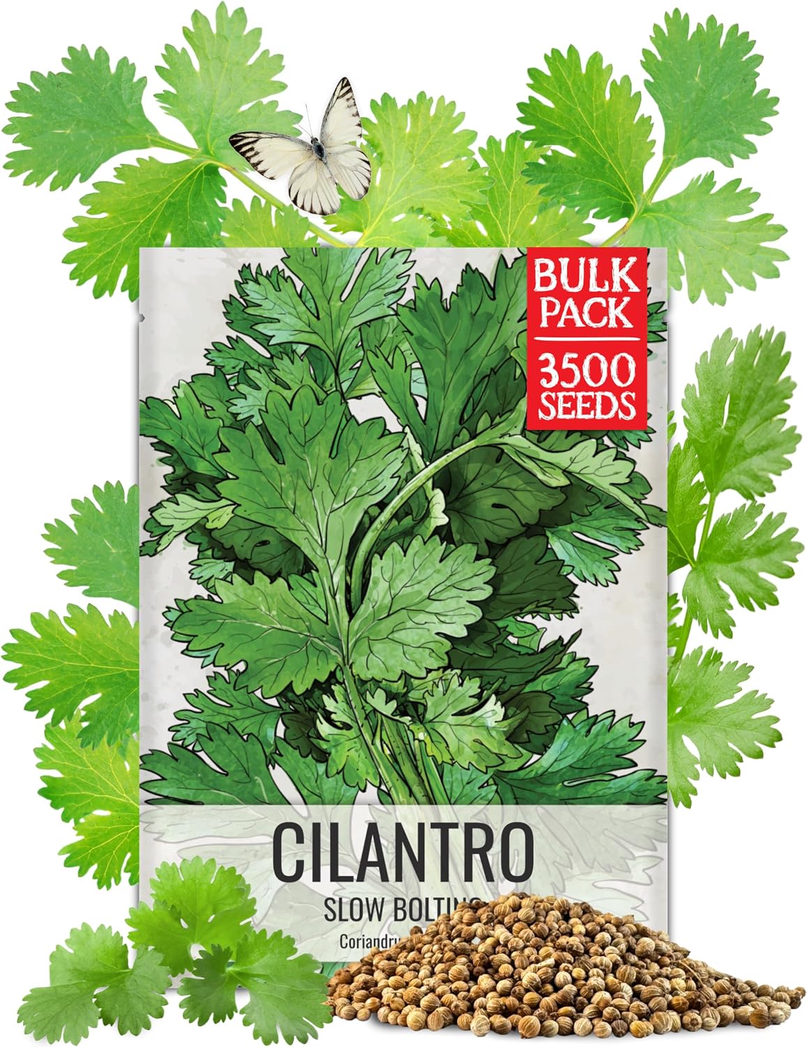 Semillas cilantro para plantar 1.5oz no transgénicas