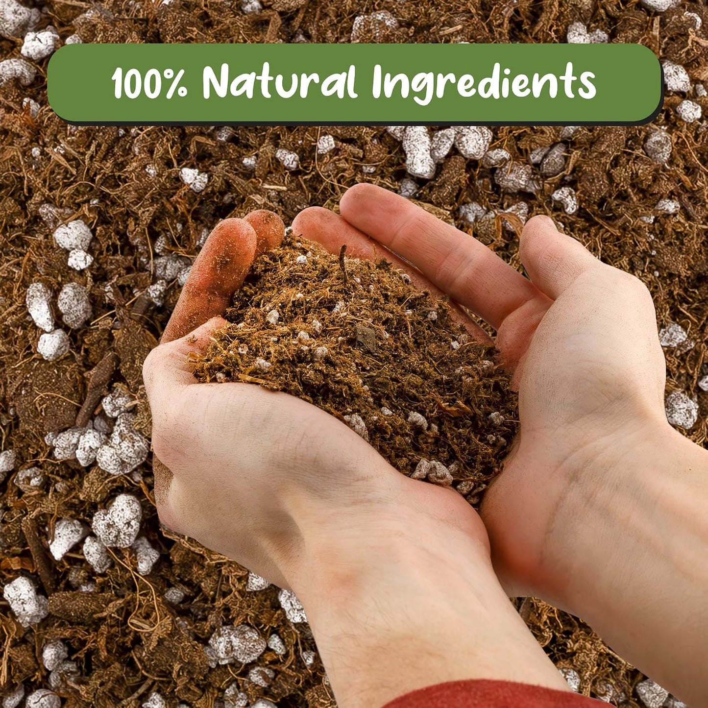 Tierra para macetas plantas carnívoras 2qt trampas moscas