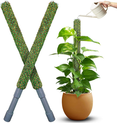 Poste musgo verde riego auto plantas trepadoras 23pulg 2 Pzas