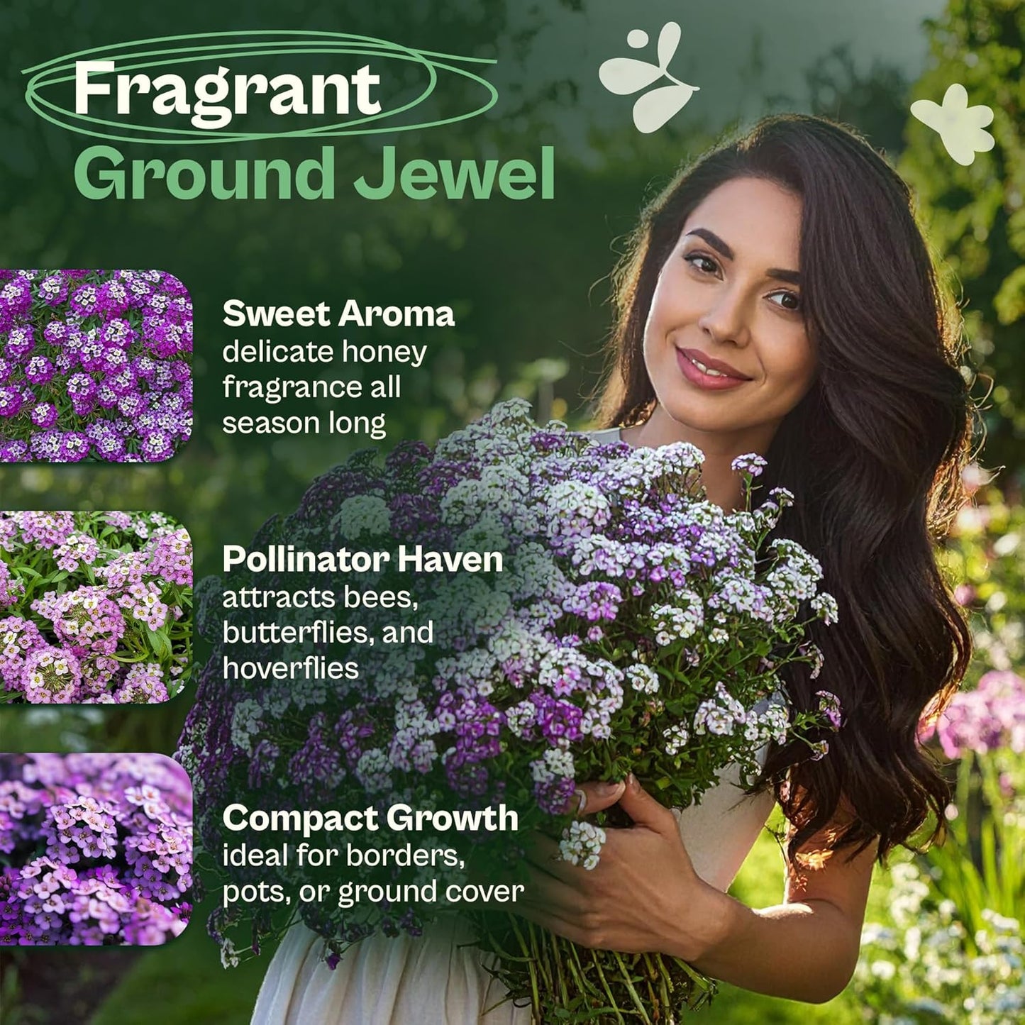 3000 Semillas Alyssum Morado Cobertura Suelo