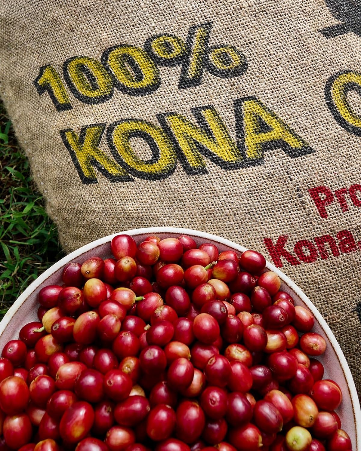 Café Ainanani Kona Catimor orgánico tostado ligero grano entero 100% Kona 10 oz