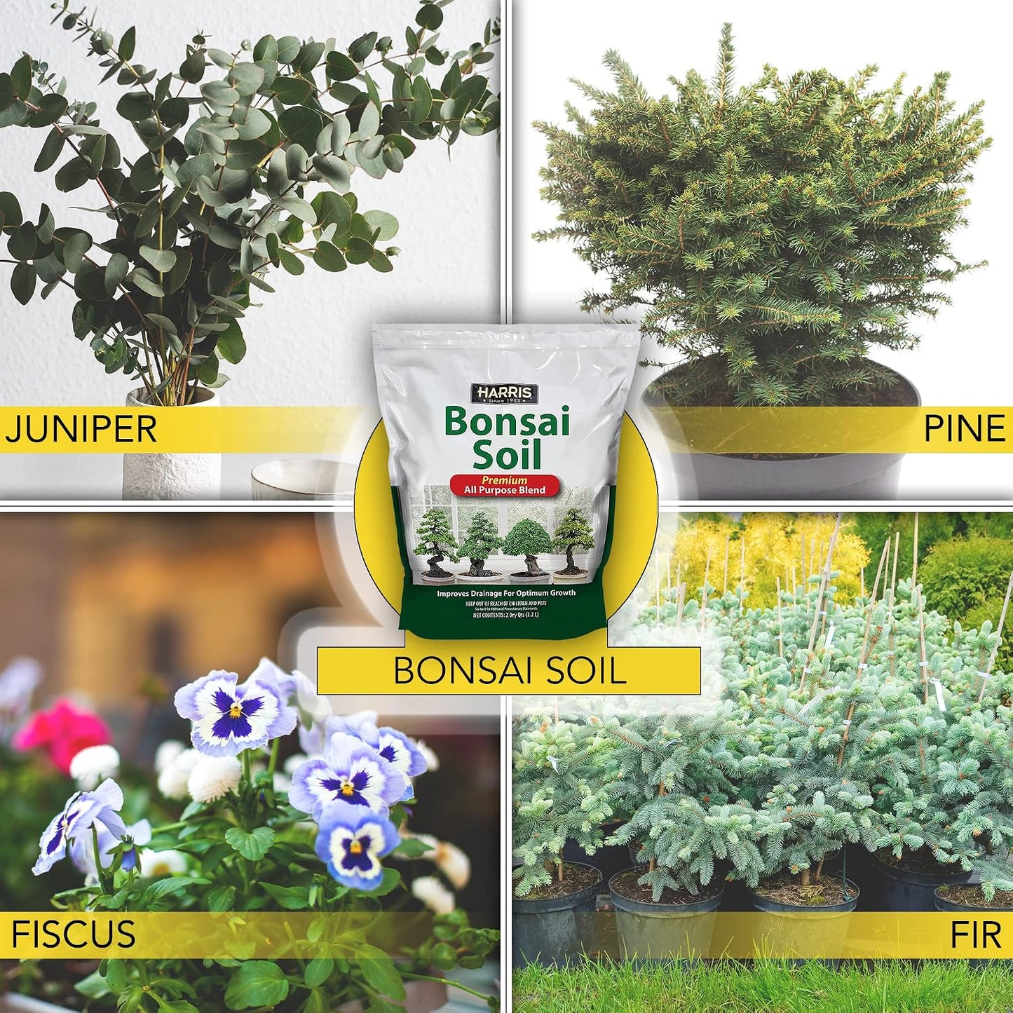 Tierra bonsái mezcla premium multiusos 2qt