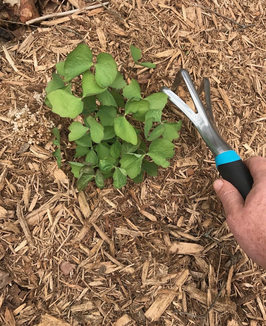 Cultivador DIG 15311 color rojo