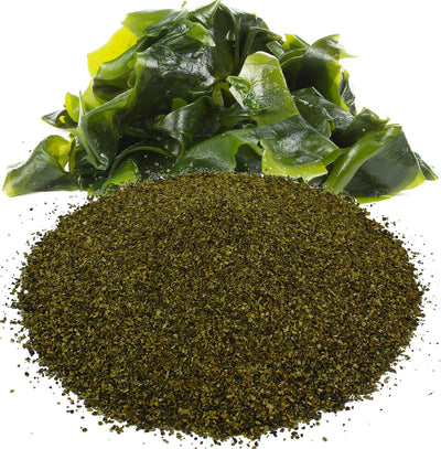 Fertilizante harina algas marinas jardín 2lb