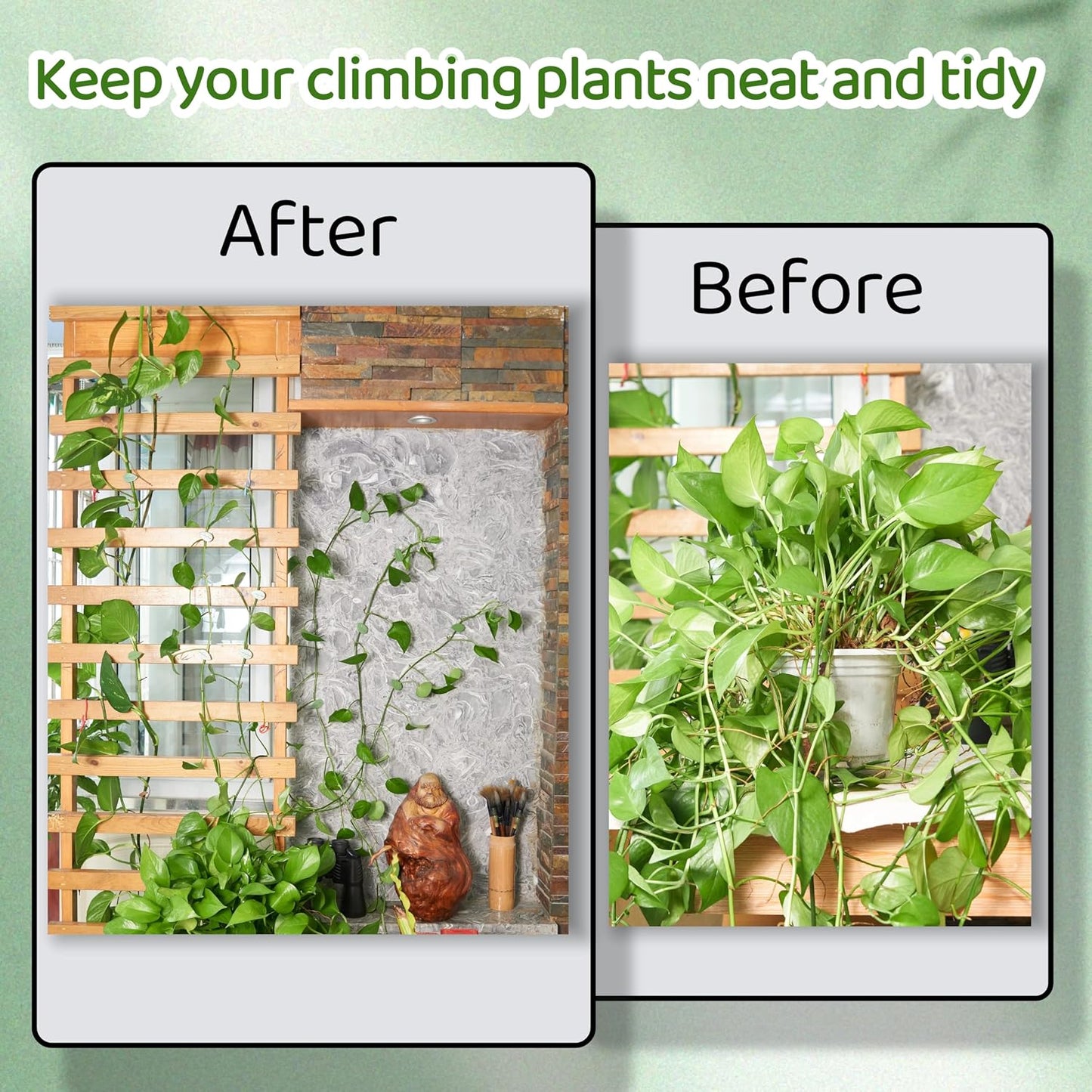 30 Clips Pared para Plantas Trepadoras Autoadhesivos Hoja Verde
