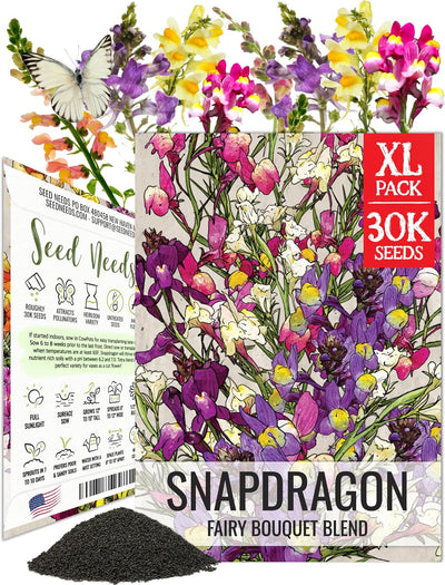 Semillas Snapdragon para jardín de mariposas paquete XL
