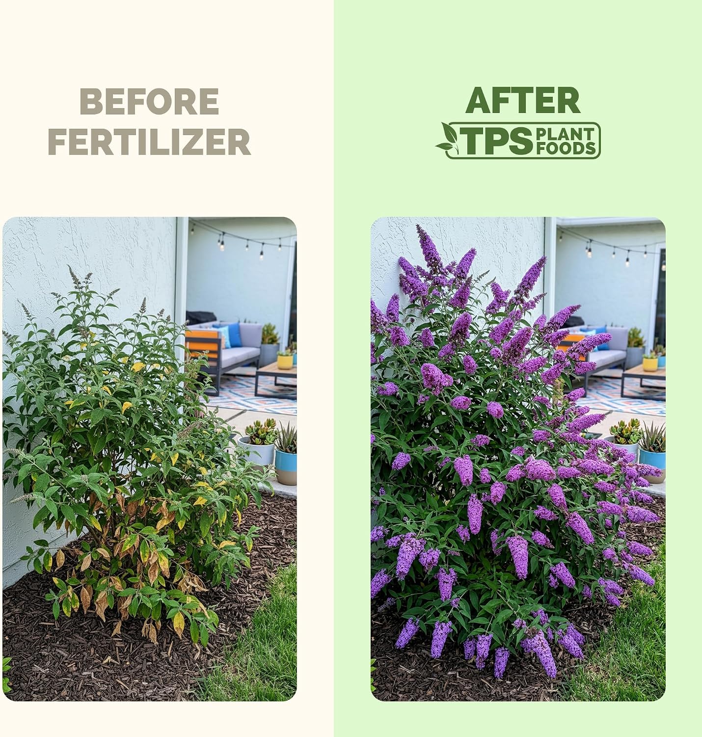 Fertilizante líquido para arbustos y frutales 8oz