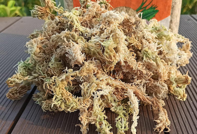 Musgo esfagno para enraizamiento de plantas 1.1lib