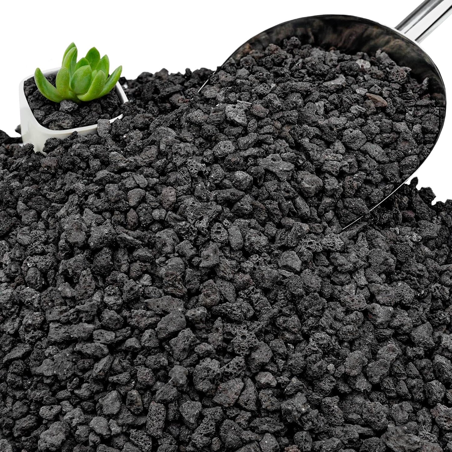 Rocas lava negra 3lb para suelo macetas suculentas decorativas