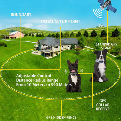 Sistema valla GPS para 2 perros con collar receptor