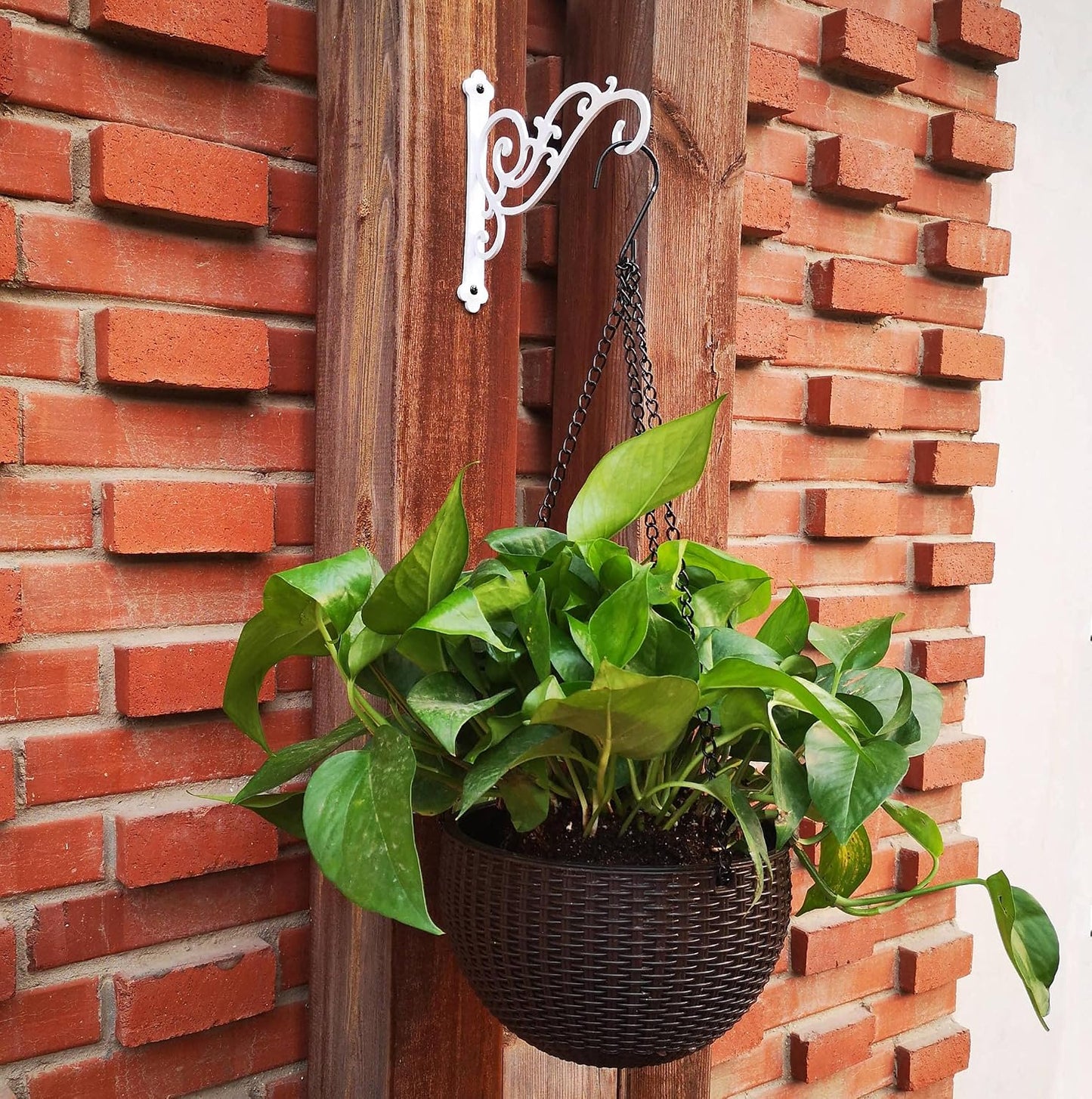 Soporte maceta hierro 2 ganchos 6pulg decorativo