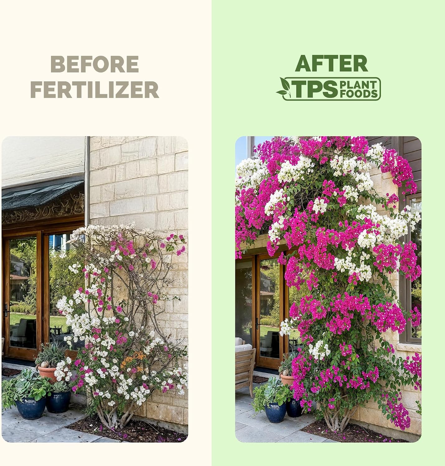 Fertilizante líquido para buganvillas 8oz