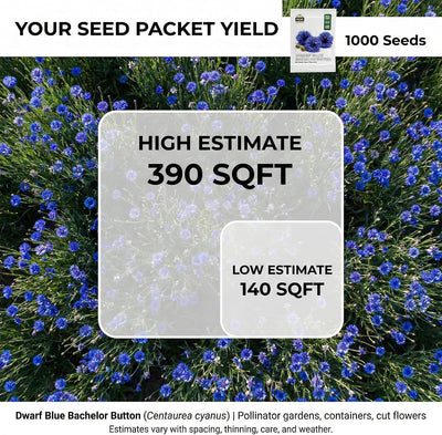 1000 Semillas Centaurea Cyanus Azul Enano para Plantar