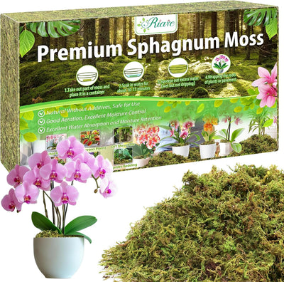 Musgo esfagnum 7oz para plantas en maceta 10qt
