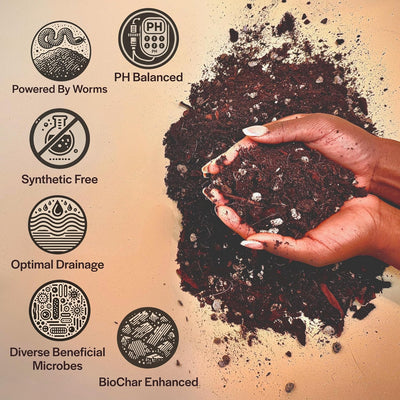 Mezcla tierra para plantas tropicales y de interior bien drenante