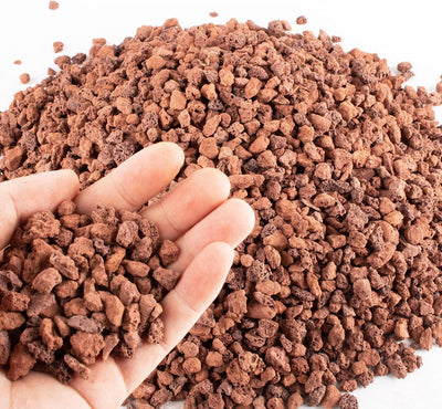 Rocas lava roja 1.5lb para cactus suculentas y bonsái