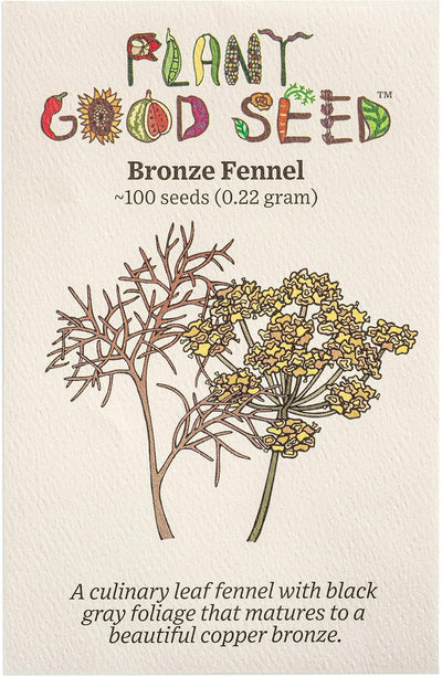 Semillas hinojo orgánico paquete 100 jardinería hierbas