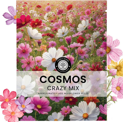 Sobre grande 0.18oz 600 semillas cosmos bipinnatus