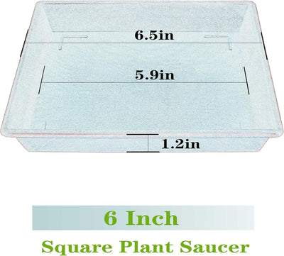5 Platillos Cuadrados Plástico 6-20pulg para Plantas Resistente