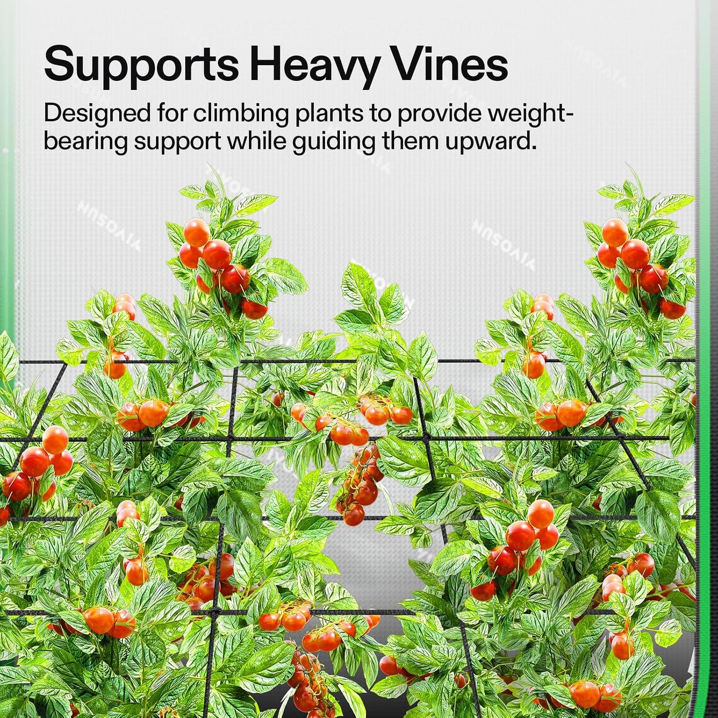 Red elástica para plantas trepadoras 2x2ft con 4 ganchos