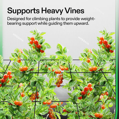 Red elástica para plantas trepadoras 2x2ft con 4 ganchos