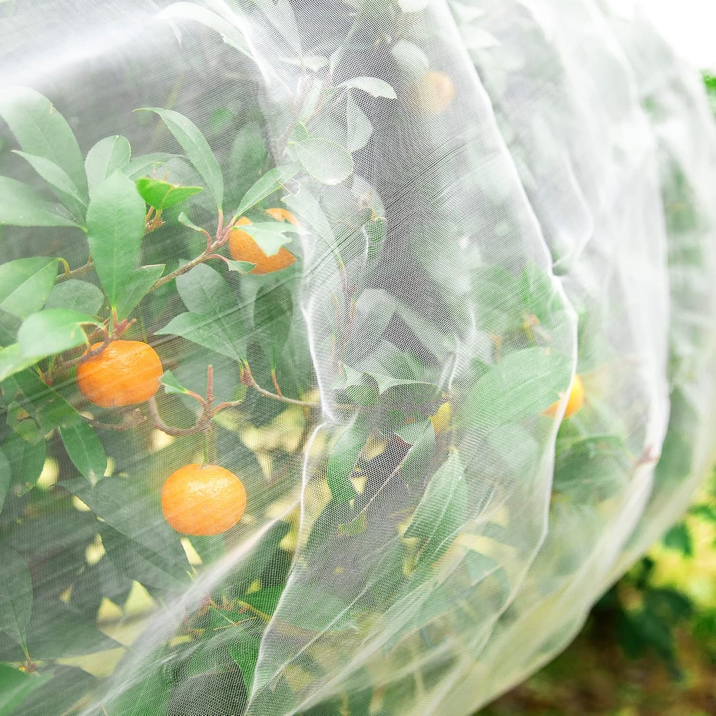 Malla barrera insectos 10x15ft para proteger plantas jardín