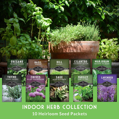 Kit hierbas culinarias 10 tipos para plantar