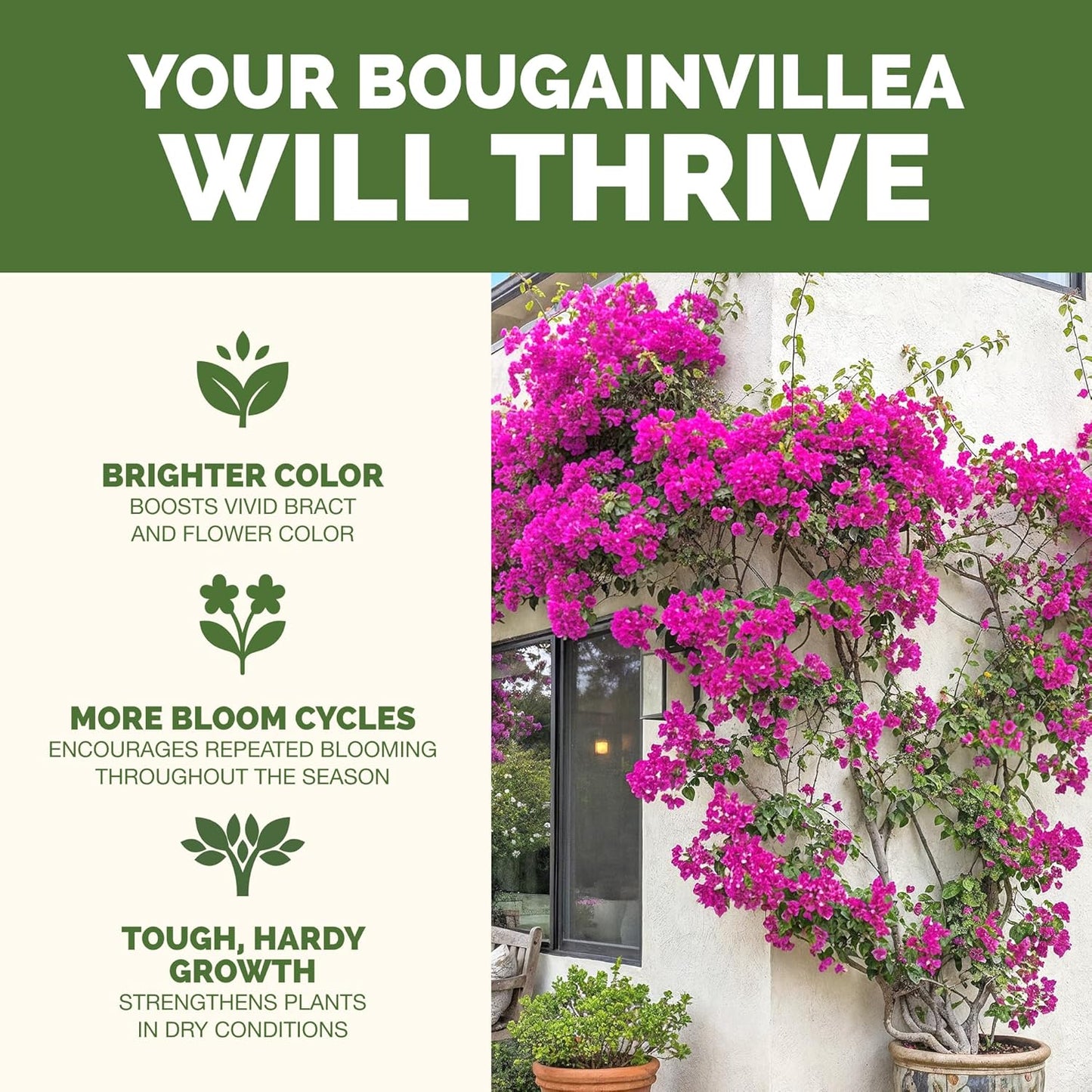 Fertilizante líquido para buganvillas 8oz