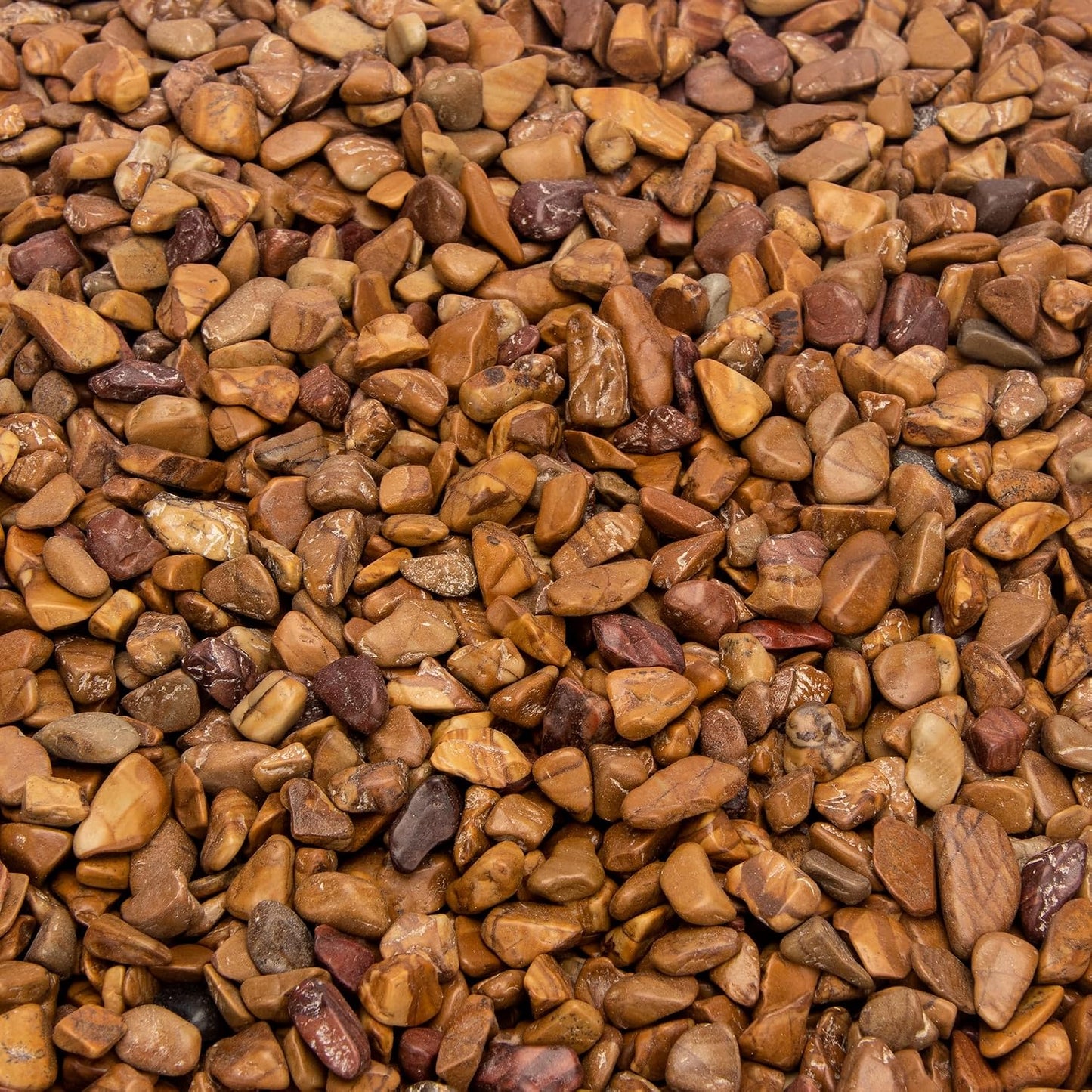 Rocas frijol madera 18lb para suculentas y cactus