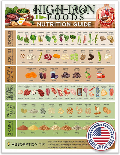 Imán de guía nutricional High Iron Foods 8.5x11
