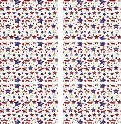 Juego de 6 manteles individuales patrióticos 12 x 18 pulgadas
