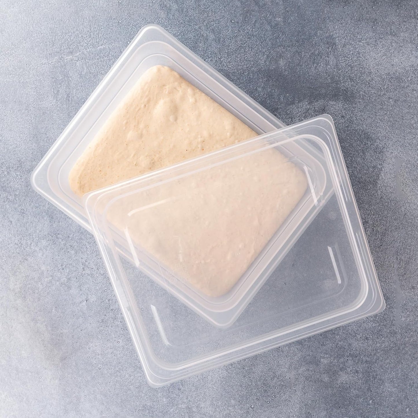 Recipiente de prueba Brod & Taylor para masa 6 litros sin BPA