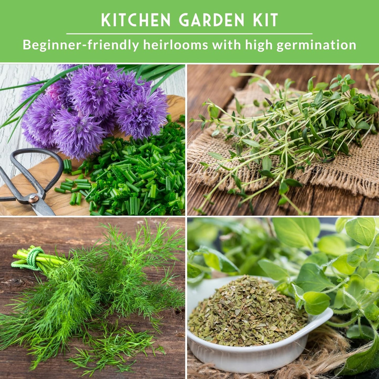 Kit hierbas culinarias 10 tipos para plantar