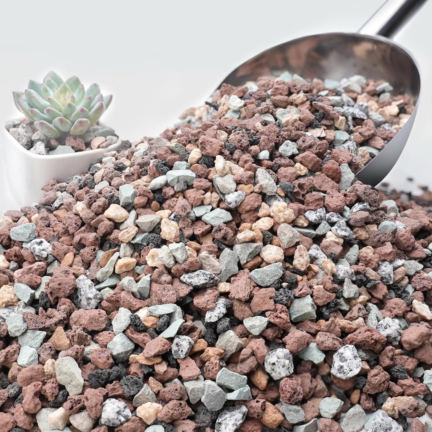 Rocas lava hortícola 3lb para suculentas cactus 3/8pulg