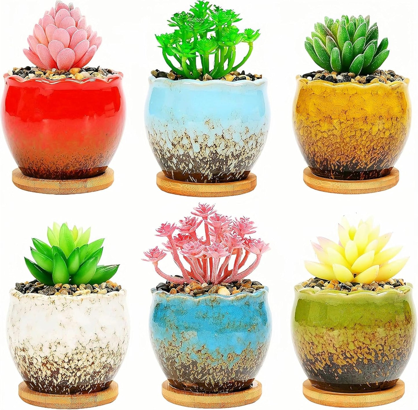 Maceta cerámica cactus jardín bandeja bambú amarilla