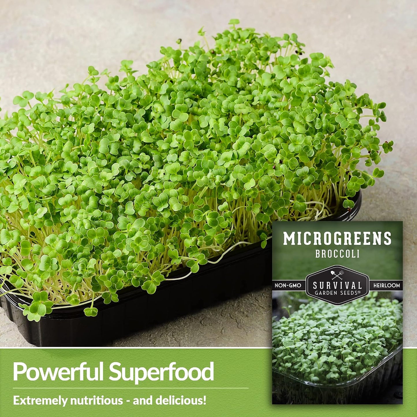 Paquete semillas microgreens brócoli para cultivo interior