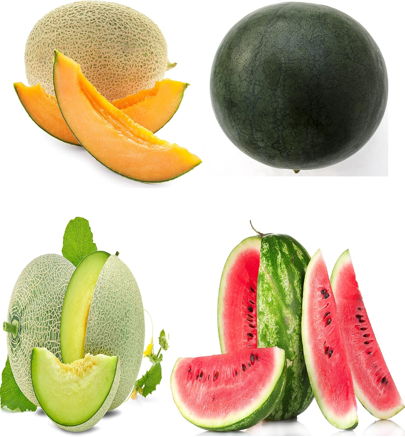 Paquete 4 variedades semillas melón no transgénicas