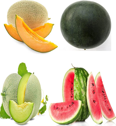 Paquete 4 variedades semillas melón no transgénicas