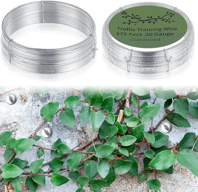 Alambre enrejado para plantas trepadoras 350ft 2 rollos