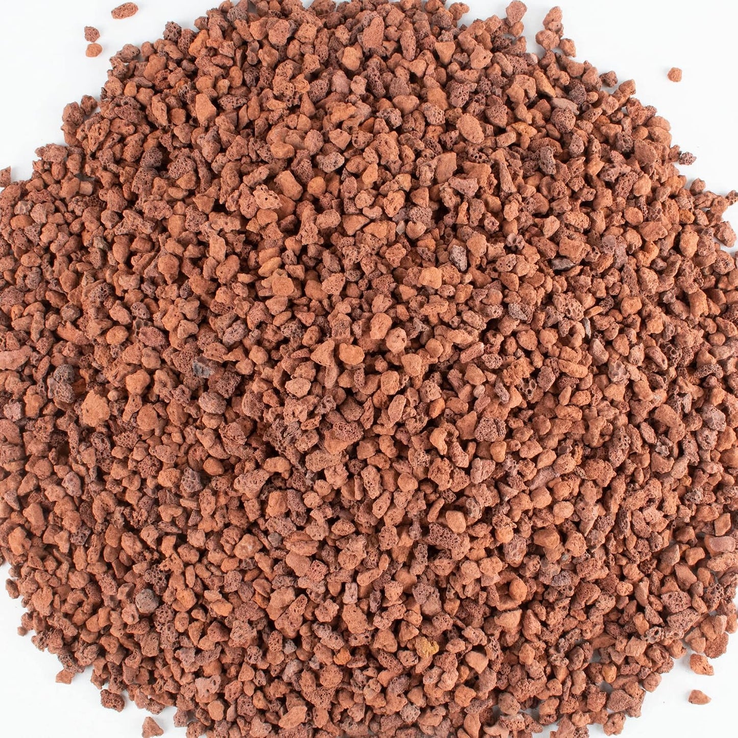 Granulos roca lava natural para bonsái cactus y terrarios 5lb