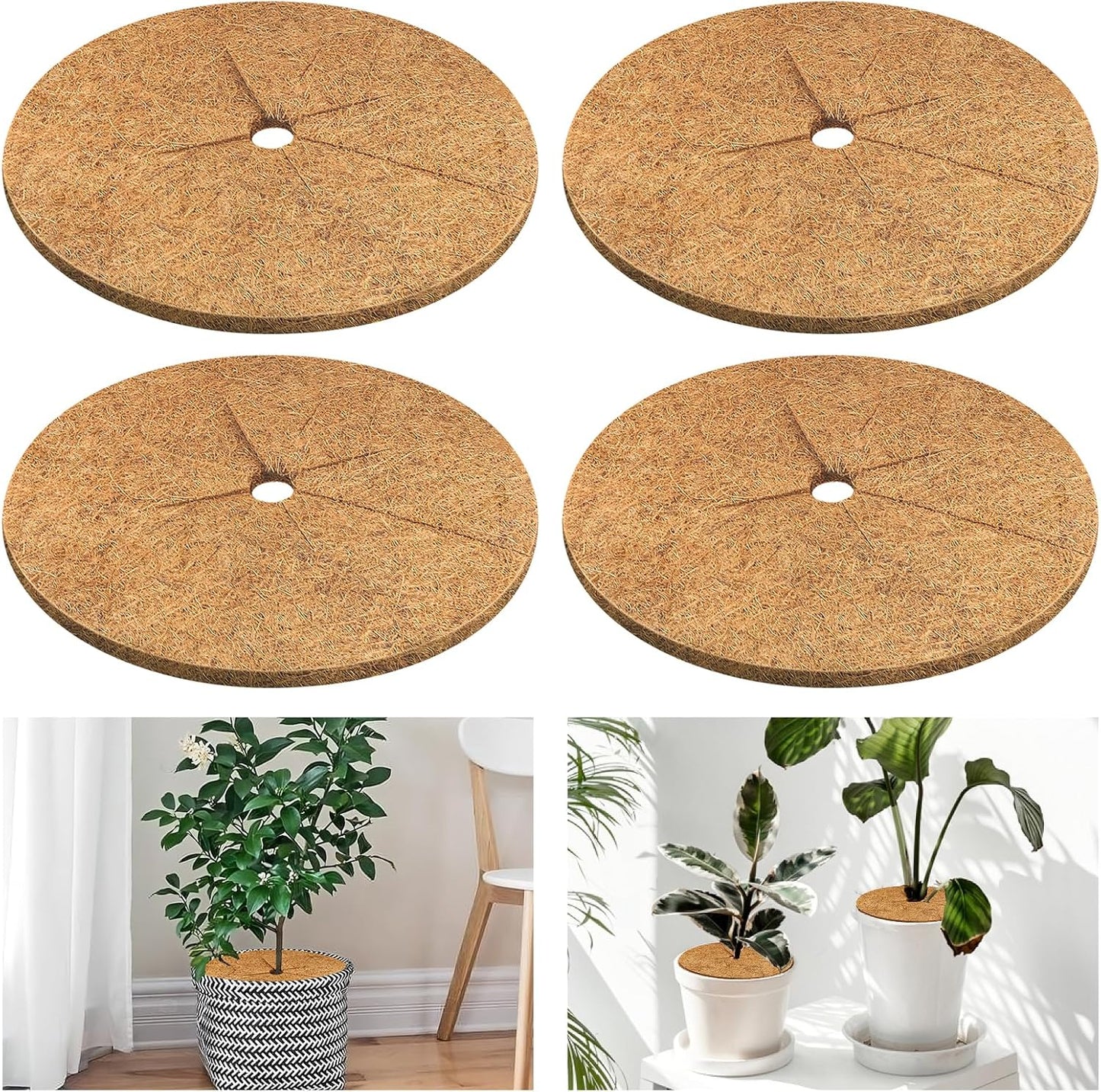 4 Alfombrillas Fibra Coco 11.8pulg Anillo Protección Natural