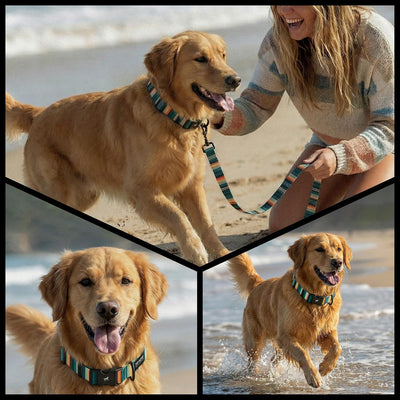 Collar perro mediano y hembra ajustable SacredTribe