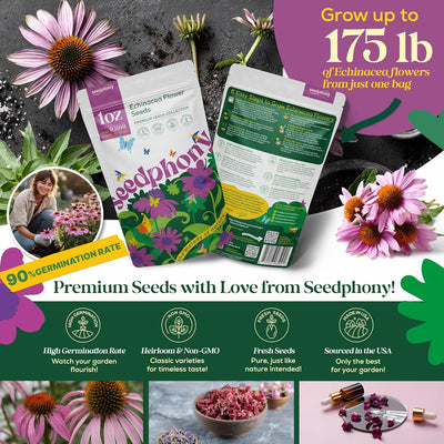 Paquete 1oz semillas equinácea sin OMG para jardín
