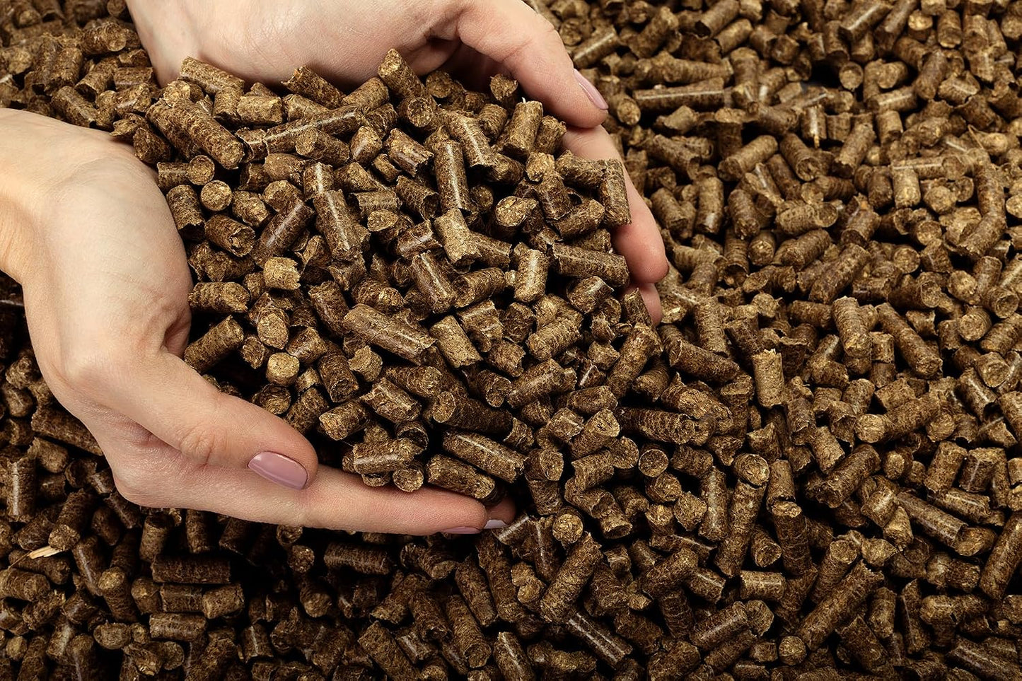 Pellets cocina nueces romero