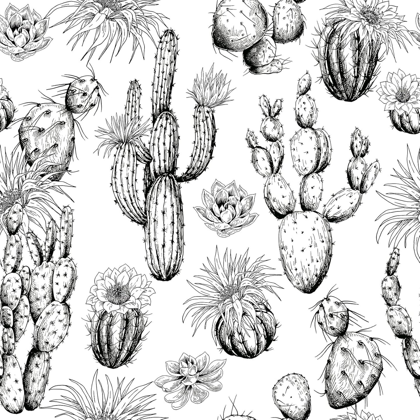 Papel tapiz cactus blanco y negro adhesivo extraíble