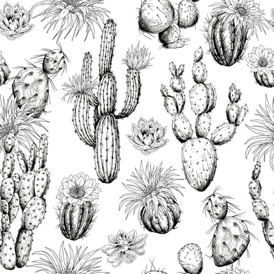 Papel tapiz cactus blanco y negro adhesivo extraíble