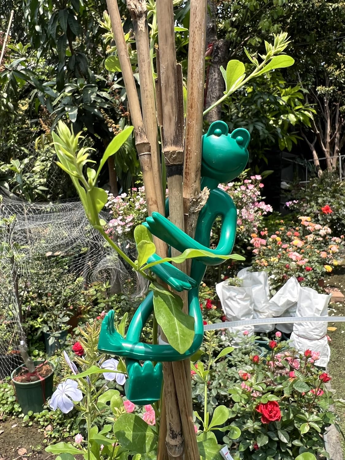 Soporte para plantas flores suculentas decoracion jardin