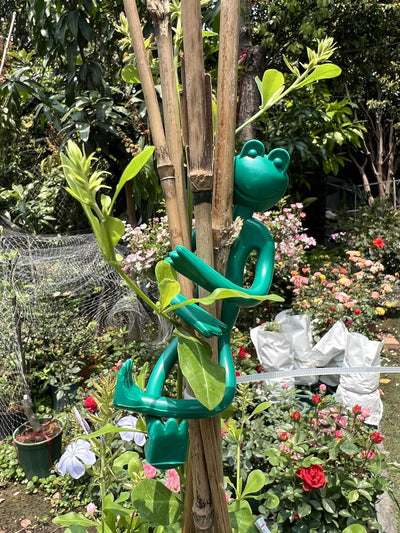 Soporte para plantas flores suculentas decoracion jardin