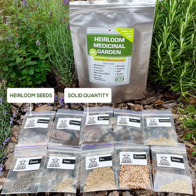 10 Semillas Hierbas Medicinales Lavanda Menta Manzanilla