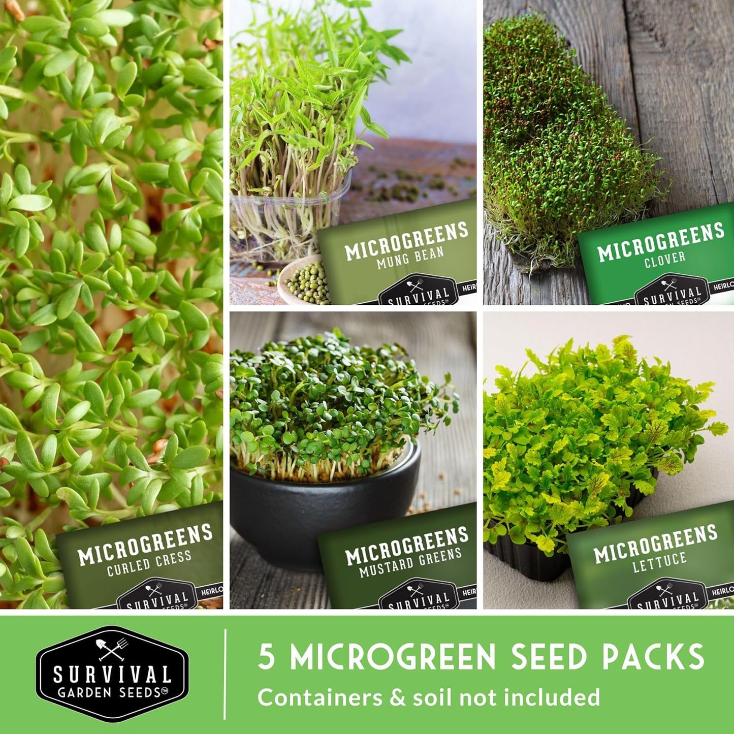 Paquete 5 variedades semillas microgreens para germinar